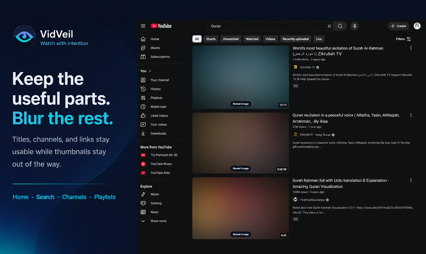 VidVeil search results with thumbnails softened while titles and useful details remain readable
