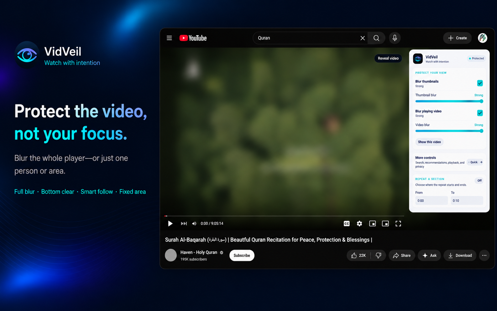VidVeil player showing a blurred video, clear lower strip, and separate blur controls